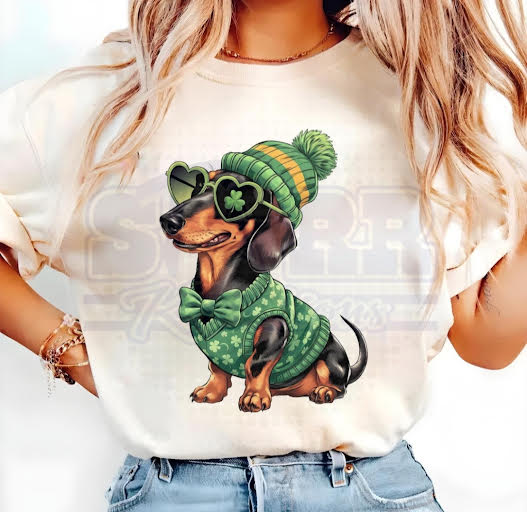 Charming Dachshund
